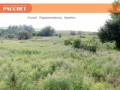 Рассвет: родовые поместья Донбасса | Донецкая область, посёлок будущего