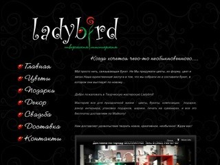 Ladybird - г. Майкоп