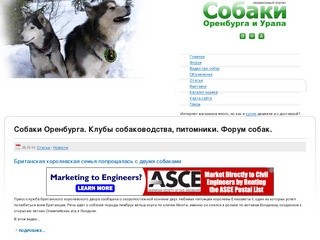24 сайт оренбург. Форум о собаках.