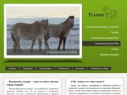 Башкирская лошадь, кумыс, племенное коневодство - компания Тулпар