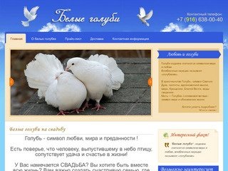Любовь и голуби: белые голубы на свадьбу