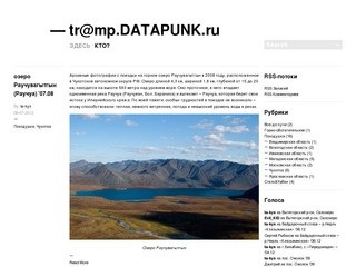 DATAPUNK.ru