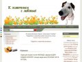 Интернет-зоомагазин в Красноярске "К животным с любовью!"