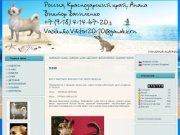 Чихуахуа в Анапе | Чихуахуа в Краснодаре - Животные в Анапе - Продажа собак в Анапе