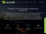 Devimax - cоздание сайтов, брендинг, мобильные разработки в Калуге