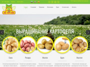 ООО «Заря-2000»:: картофель, картошка, картофель в Белгородской области
