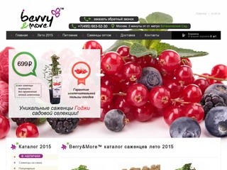 Berry&More™ - интернет магазин саженцев. Саженцы Малины, Крыжовника