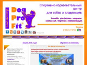 Акции и предложения - DogProFit