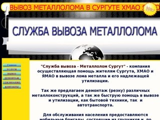 СЛУЖБА ВЫВОЗА МЕТАЛЛОМА - вывоз, демонтаж, металлолом Сургут ...