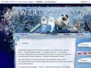 Питомник британских кошек Wertwoll Snow в Новосибирске