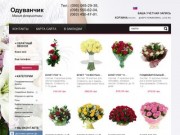 Доставка цветов Днепропетровск - Одуванчик