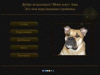 Глупые мысли умной собаки на www.sobasha.ru