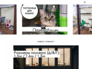 Гостиница для кошек в Москве - Цена за сутки | Стоимость и Отзывы