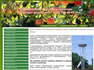 Выращивание саженцев в Крыму – купить саженцы деревьев оптом в Крыму| Плодопитомник