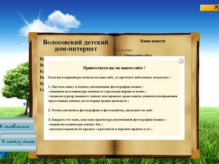 Сайт Волосовского детского дома-интерната