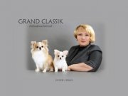 Grand Classik - chihuahua kennel FCI