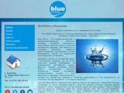 BlueFilters (блю фильтерс) - цена, отзывы г. Воронеж