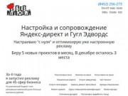 Настройка, аудит, оптимизация Яндекс директ и Гугл Эдвордс в Саратове - Без иллюзий