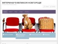 Ветеринар в Великом Новгороде — ветуслуги, вызов ветеринара на дом