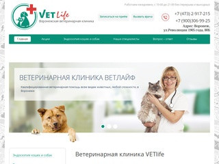 Ветеринарная клиника VETlife в Воронеже. Недорогая ветклинка воронеж.