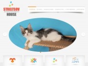 Питомник Streltsov house Котята мейн кун | Питомник котят в Краснодаре купить фото котят