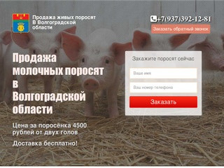 Купить поросят, молочных, маленьких, живых, мясных пород на откорм в Волгограде и области