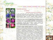 Клематисы и другие садовые растения в Московской области