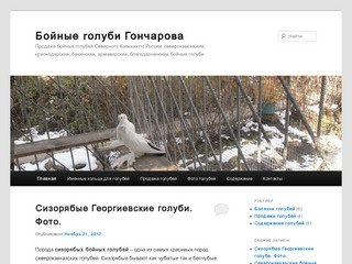 Golubi-goncharov.ru - Бойные голуби Гончарова | Бойные голуби
