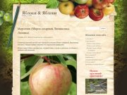 Яблоки и Яблони в Нижегородской области. Сорта, советы, выращивание.