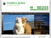 Кошка дома - гостиница для кошек в Москве