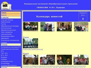 Гимназия №10 г. Пушкино