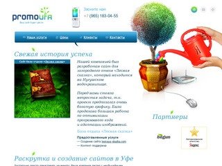 Создание сайта в Уфе. Продвижение сайтов — Уфа. Разработка сайтов в Уфе