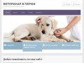 Ветеринар в Перми — ветуслуги, вызов ветеринара на дом