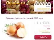 Продажа лука оптом в Свердловской области - урожай 2011.