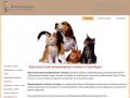 Круглосуточная ветеринарная клиника в Оренбурге | Ветеринарные услуги