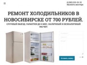 Ремонт холодильников в Новосибирске.
