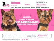 Стрижка собак и кошек в Москве - Салон стрижки собак и кошек МИНИ в Москве