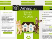 Ashera Club | Премиум отель для кошек в Днепропетровске