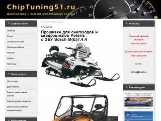 CHIPTUNING51.RU - Диагностика и ремонт инжекторных систем в Мурманске
