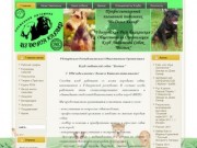 Сайт частного племенного питомника собак породы эрдельтерьер