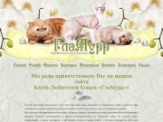 Клуб Любителей кошек в Ульяновке GLAMURR