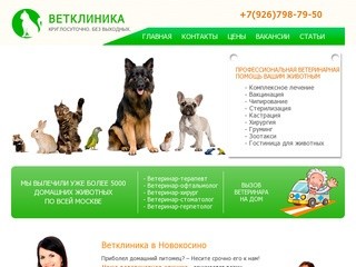Ветклиника в Новокосино - лечение животных в Москве