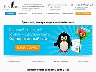 Web студия Pingwin - создание и разработка сайтов в Перми.