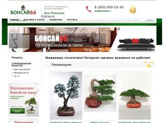 Бонсай купить в Екатеринбурге, бонсай66 - мир японских деревьев