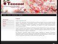 Системы кондиционирования воздуха и установка бытовых кондиционеров фирма Teccool г. Санкт-Петербург