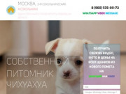 Купить щенка чихуахуа в Москве.