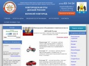 Официальный сайт Новгородской ОТШ ДОСААФ России