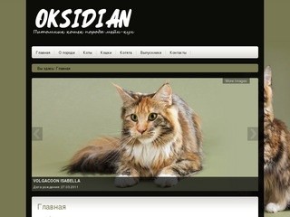 Oksidian.ru