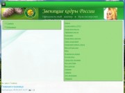 Звенящие кедры России в Красноярске