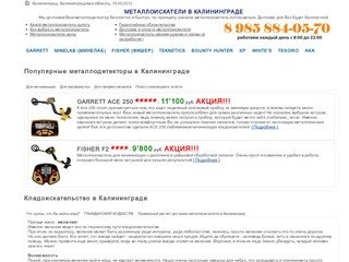 Калининград металлоискатели купить металлоискатель в Калининграде цены низкие доставка бесплатная